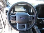 2025 Ford F-150 SuperCrew Cab 4x4 Pickup for sale #SFB58695 - photo 18