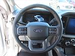 2025 Ford F-150 SuperCrew Cab 4x4 Pickup for sale #SFC01643 - photo 17