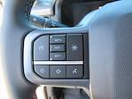 2025 Ford F-150 SuperCrew Cab 4x2 Pickup for sale #SKE21757 - photo 23