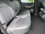 2025 Ford F-150 SuperCrew Cab 4x4 Pickup for sale #SKF03899 - photo 31