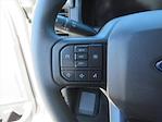 2025 Ford F-150 SuperCrew Cab 4x2 Pickup for sale #SKF56479 - photo 20