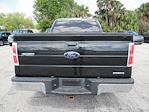 2013 Ford F-150 Regular Cab 4x2 Pickup for sale #SKF56479A2 - photo 3