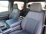 New 2026 Ford F-150 STX SuperCrew Cab for sale #TFA07033 - photo 17