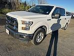 Used 2017 Ford F-150 XLT SuperCrew Cab for sale #5462 - photo 1