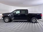 2024 Ford F-150 SuperCrew Cab 4WD Pickup for sale #F0647A - photo 12