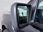 2024 Ford F-150 SuperCrew Cab 4WD Pickup for sale #F0648A - photo 24