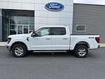 New 2025 Ford F-150 XLT SuperCrew Cab for sale #F25050R - photo 7