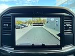 New 2025 Ford F-150 STX SuperCrew Cab for sale #F25348R - photo 13