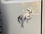 New 2025 Ford Bronco Base for sale #F25368R - photo 25