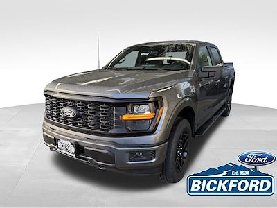 New 2025 Ford F-150 - photo 1