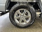 2025 Ford F-150 SuperCrew Cab 4WD Pickup for sale #E1015 - photo 18