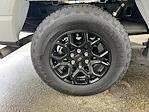 2024 Ford F-150 SuperCrew Cab 4WD Pickup for sale #E1036 - photo 20