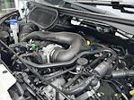 New 2024 Ford Transit 250 Low Roof Empty Cargo Van for sale #F24144 - photo 29