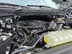 New 2024 Ford F-150 XLT SuperCrew Cab for sale #F24399 - photo 63
