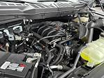 New 2024 Ford F-150 XLT SuperCrew Cab for sale #F24399 - photo 30