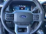 2025 Ford F-150 SuperCrew Cab 4x2 Pickup for sale #F25065 - photo 23