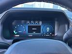 2025 Ford F-150 SuperCrew Cab 4x2 Pickup for sale #F25065 - photo 28