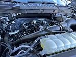 2025 Ford F-150 SuperCrew Cab 4x2 Pickup for sale #F25065 - photo 41
