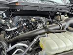 2025 Ford F-150 SuperCrew Cab 4x2 Pickup for sale #F25092 - photo 35