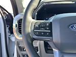 2025 Ford F-150 SuperCrew Cab 4x4 Pickup for sale #F25220 - photo 19