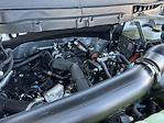New 2025 Ford F-150 Tremor SuperCrew Cab for sale #F25418 - photo 28