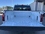2025 Ford F-150 SuperCrew Cab 4x2 Pickup for sale #F25425 - photo 46