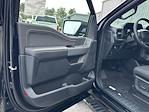 New 2026 Ford F-150 XLT SuperCrew Cab for sale #F26079 - photo 14