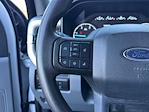 2024 Ford F-250 Crew Cab 4x4 Pickup for sale #FX10173 - photo 18