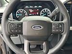 2023 Ford F-150 SuperCrew Cab 4x2 Pickup for sale #FX10229 - photo 15