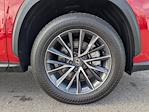 Used 2024 Lexus NX 250 Premium for sale #C013268 - photo 10