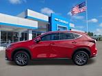 Used 2024 Lexus NX 250 Premium for sale #C013268 - photo 7