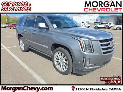 Used 2019 Cadillac Escalade - photo 1