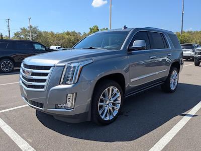 Used 2019 Cadillac Escalade - photo 1