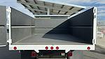 New 2024 Ford F-450 Regular Cab Dump Truck for sale #F24TS181 - photo 3