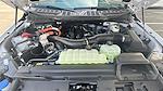 New 2025 Ford F-150 XLT SuperCrew Cab for sale #F25TCCH27 - photo 23