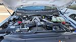 New 2025 Ford F-450 Regular Cab Combo Body for sale #F25TS89 - photo 13