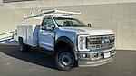New 2025 Ford F-450 Regular Cab Contractor Truck for sale #F25TS91 - photo 1