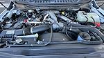 New 2025 Ford F-450 Regular Cab Contractor Truck for sale #F25TS91 - photo 18