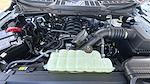 New 2026 Ford F-150 XL Regular Cab for sale #F26T40 - photo 17