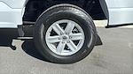 New 2026 Ford F-150 XL Regular Cab for sale #F26T40 - photo 8