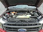2021 Ford F-150 SuperCrew Cab 4WD Pickup for sale #MFB28477 - photo 11