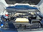 2023 Ford F-150 SuperCrew Cab 4WD Pickup for sale #PFC71530J - photo 11