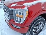 2023 Ford F-150 SuperCrew Cab 4WD Pickup for sale #PKE98934J - photo 10