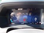 New 2024 Ford F-150 XLT SuperCrew Cab for sale #24483 - photo 17