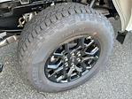 New 2025 Ford F-150 XLT SuperCrew Cab for sale #24647 - photo 7