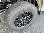 New 2025 Ford F-150 XLT SuperCrew Cab for sale #24648 - photo 6