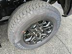 New 2025 Ford F-150 XLT SuperCrew Cab for sale #24652 - photo 6