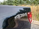 New 2025 Ford F-150 XLT SuperCrew Cab for sale #24652 - photo 9