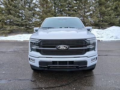 New 2025 Ford F-150 - photo 1