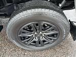 New 2025 Ford F-150 Platinum SuperCrew Cab for sale #24740 - photo 6